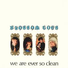 BLOSSOM TOES  - VINYL WE ARE EVER SO CLEAN [VINYL]