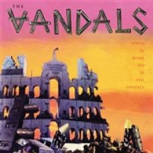 VANDALS  - VINYL WHEN IN ROME D..