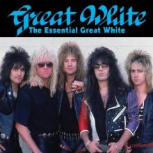 GREAT WHITE  - 2xCD ESSENTIAL GREAT WHITE