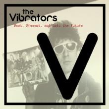 VIBRATORS  - CD PAST, PRESENT AND INTO THE FUTURE