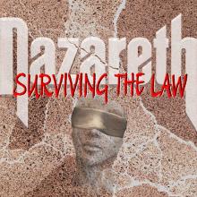  SURVIVING THE LAW [VINYL] - supershop.sk