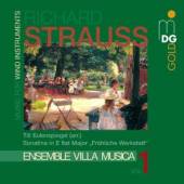 STRAUSS R.  - CD MUSIC FOR WIND INSTRUMENT