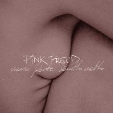 PINK FREUD  - CD PIANO FORTE BRUTTO NETTO