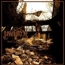 PANOPTICON  - 2xVINYL COLLAPSE [VINYL]