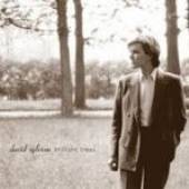 SYLVIAN DAVID  - CD BRILLIANT TREES