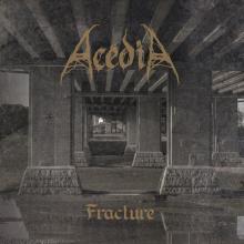 ACEDIA  - CDD FRACTURE