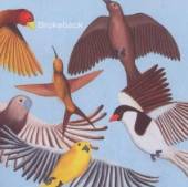 BROKEBACK  - CD LOOKS AT THE BIRD