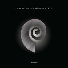 CHRIS CARTER  - VINYL ELECTRONIC AMB..