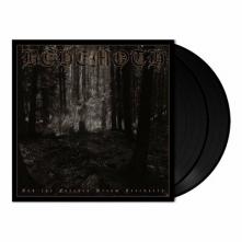  AND THE FORESTS DREAM ETERNAL [VINYL] - suprshop.cz