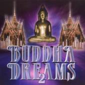 VARIOUS  - CD BUDDHA DREAMS 2 -13TR-