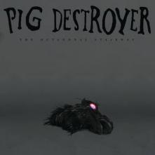 PIG DESTROTER  - VINYL OCTAGONAL STAIRWAY [VINYL]