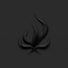 BURY TOMORROW  - VINYL BLACK FLAME [VINYL]