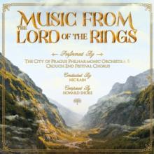  MUSIC FROM THE LORD OF THE RINGS [VINYL] - suprshop.cz