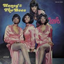 HONEY & THE BEES  - VINYL LOVE [VINYL]