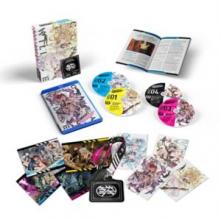 ANIME  - BR COMBATANTS WILL B..
