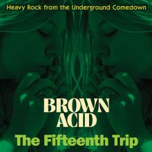  BROWN ACID: THE FIFTEENTH TRIP [VINYL] - supershop.sk