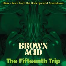  BROWN ACID - THE FIFTEENTH TRIP / VAR [VINYL] - suprshop.cz