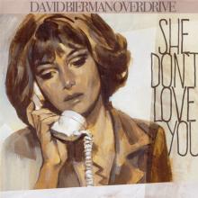 BIERMAN DAVID -OVERDRIVE  - SI SHE DON'T LOVE YOU/NOPE /7