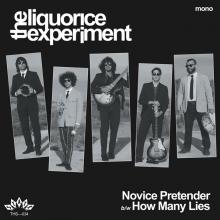 LIQUORICE EXPERIMENT  - SI NOVICE PRETENDER/HOW MANY LIES /7