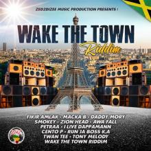 VARIOUS  - CD WAKE THE TOWN RIDDIM