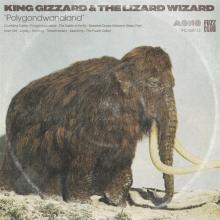 KING GIZZARD & THE LIZARD WIZA  - VINYL POLYGONDWANALAND (MONO) [VINYL]