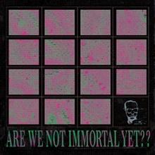 THIS COLD NIGHT  - VINYL ARE WE NOT IMMORTAL YET? [VINYL]