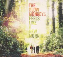 BLOW MONKEYS  - 2xCD FEELS LIKE A NEW MORNING