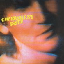GOVERNMENT ISSUE  - VINYL THE FUN JUST NEVER ENDS [VINYL]