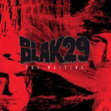 BLAK29  - VINYL WAITING [VINYL]