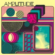 VARIOUS  - VINYL AMPLITUDE: THE..