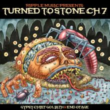  TURNED TO STONE: CHAPTER 7 [VINYL] - supershop.sk