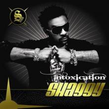 SHAGGY  - CD INTOXICATION