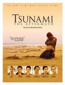TV SERIES  - DVD TSUNAMI: THE AFTERMATH