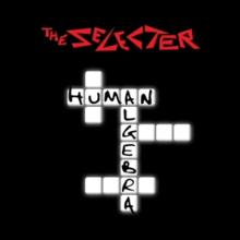 SELECTER  - CD HUMAN ALGEBRA
