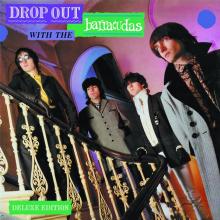 BARRACUDAS  - 3xCD DROP OUT WITH T..