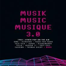 VARIOUS  - 3xCD MUSIK MUSIC MUS..