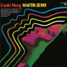 DENNY MARTIN  - VINYL EXOTIC MOOG [VINYL]