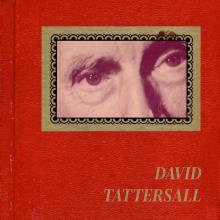TATTERSALL DAVID  - VINYL ON THE SUNNY S..