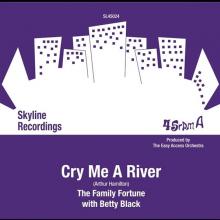 FAMILY FORTUNE  - SI CRY ME A RIVER /7