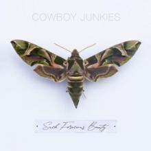 COWBOY JUNKIES  - CD SUCH FEROCIOUS BEAUTY