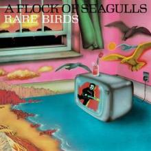 FLOCK OF SEAGULLS  - VINYL RARE BIRDS - '..