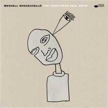 NDEGEOCELLO ME'SHELL  - CD THE OMNICHORD REAL BOOK