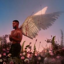  CHRONIQUES D'UN CUPIDON [VINYL] - suprshop.cz
