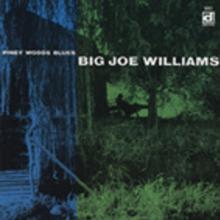 WILLIAMS BIG JOE  - CD PINEY WOODS BLUES