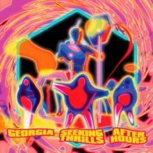  SEEKING THRILLS AFTER HOURS [VINYL] - supershop.sk