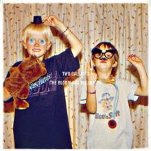 TWO GALLANTS  - CD BLOOM AND THE BLIGHT