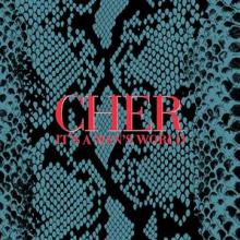 CHER  - 2xCD IT'S A MAN'S WORLD