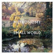  SMALL WORLD [VINYL] - supershop.sk