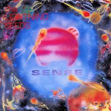 LIGHTNING SEEDS  - CD SENSE