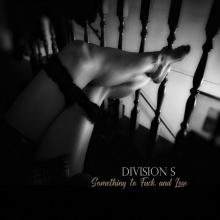 DIVISION S  - CD SOMETHING TO FUCK AND LOSE